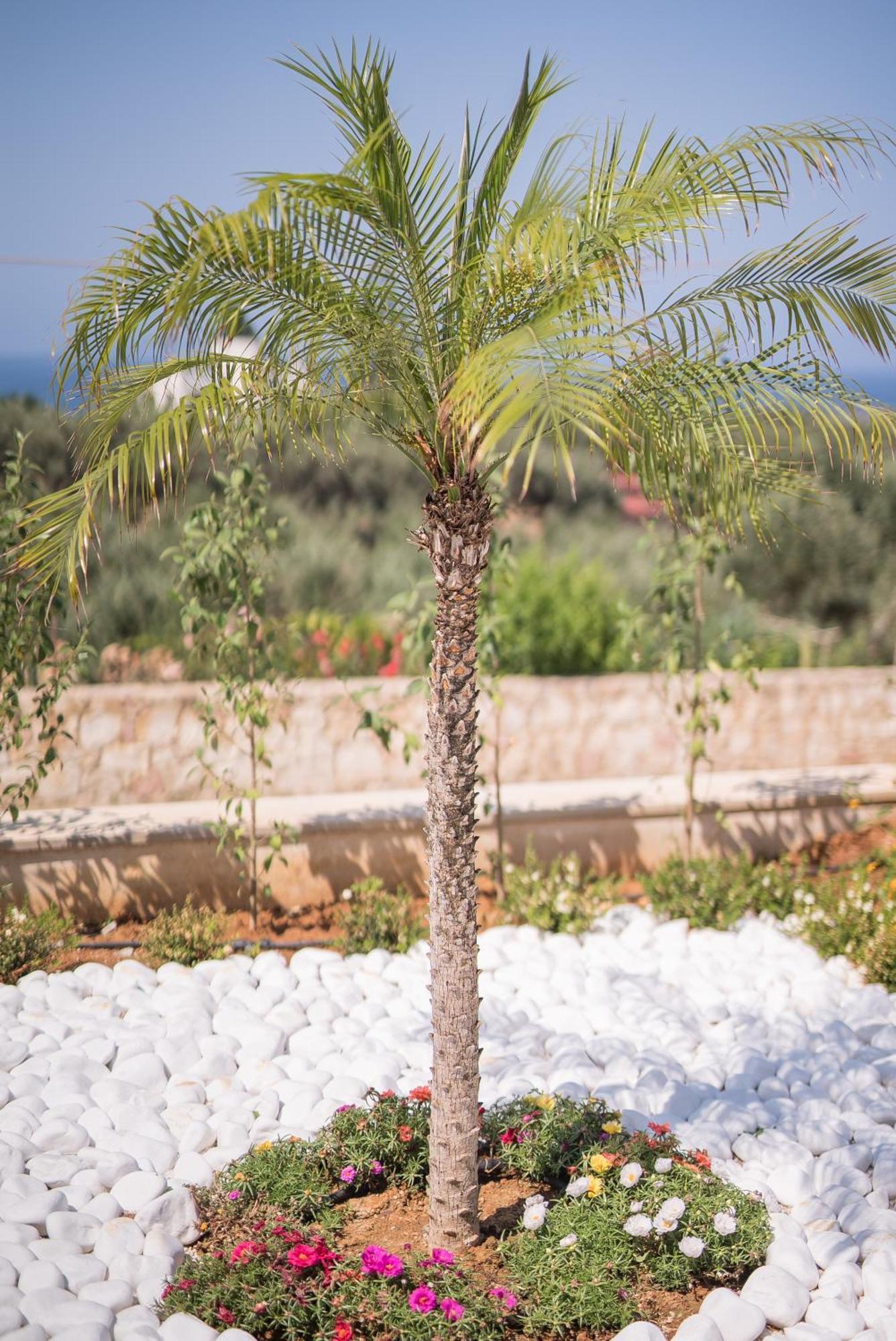 Koukos Villas Stalós Zimmer foto